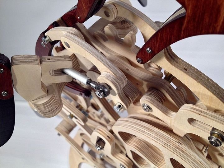 3D Wood Mechanical Hummingbird and Wood Mechanical Turtle
