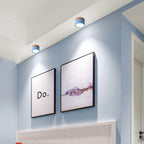 Morandi Style Modern LED Ceiling Lamp - LumiModo