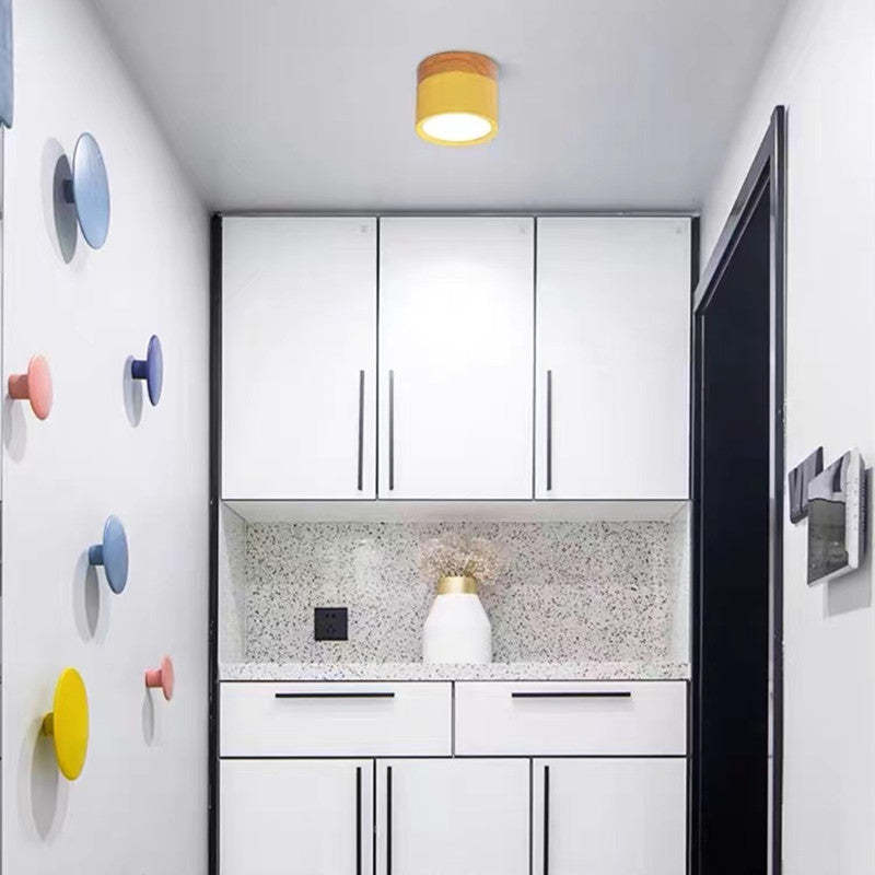 Morandi Style Modern LED Ceiling Lamp - LumiModo