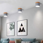 Morandi Style Modern LED Ceiling Lamp - LumiModo