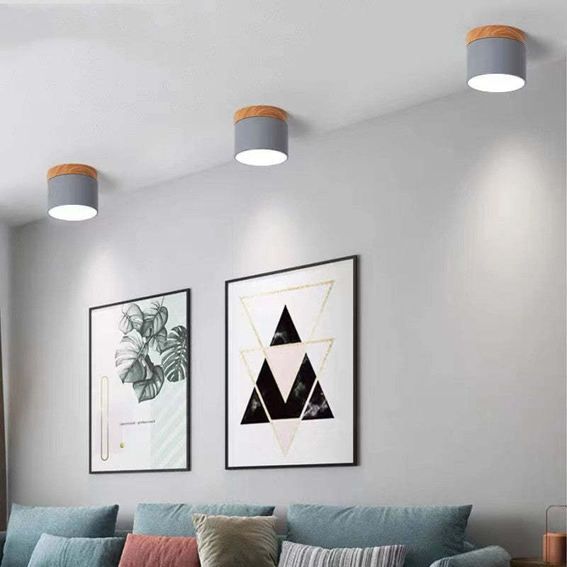 Morandi Style Modern LED Ceiling Lamp - LumiModo