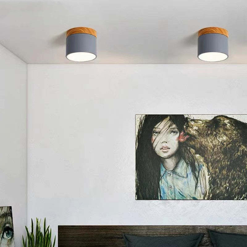Morandi Style Modern LED Ceiling Lamp - LumiModo