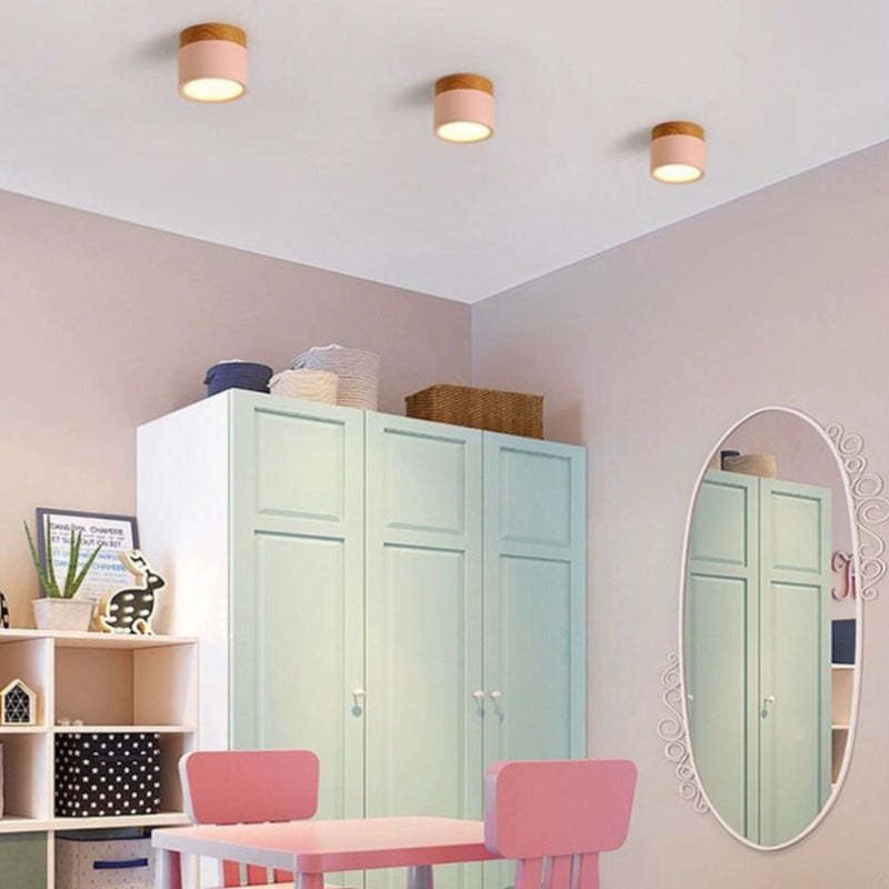Morandi Style Modern LED Ceiling Lamp - LumiModo