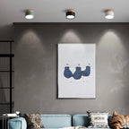 Morandi Style Modern LED Ceiling Lamp - LumiModo