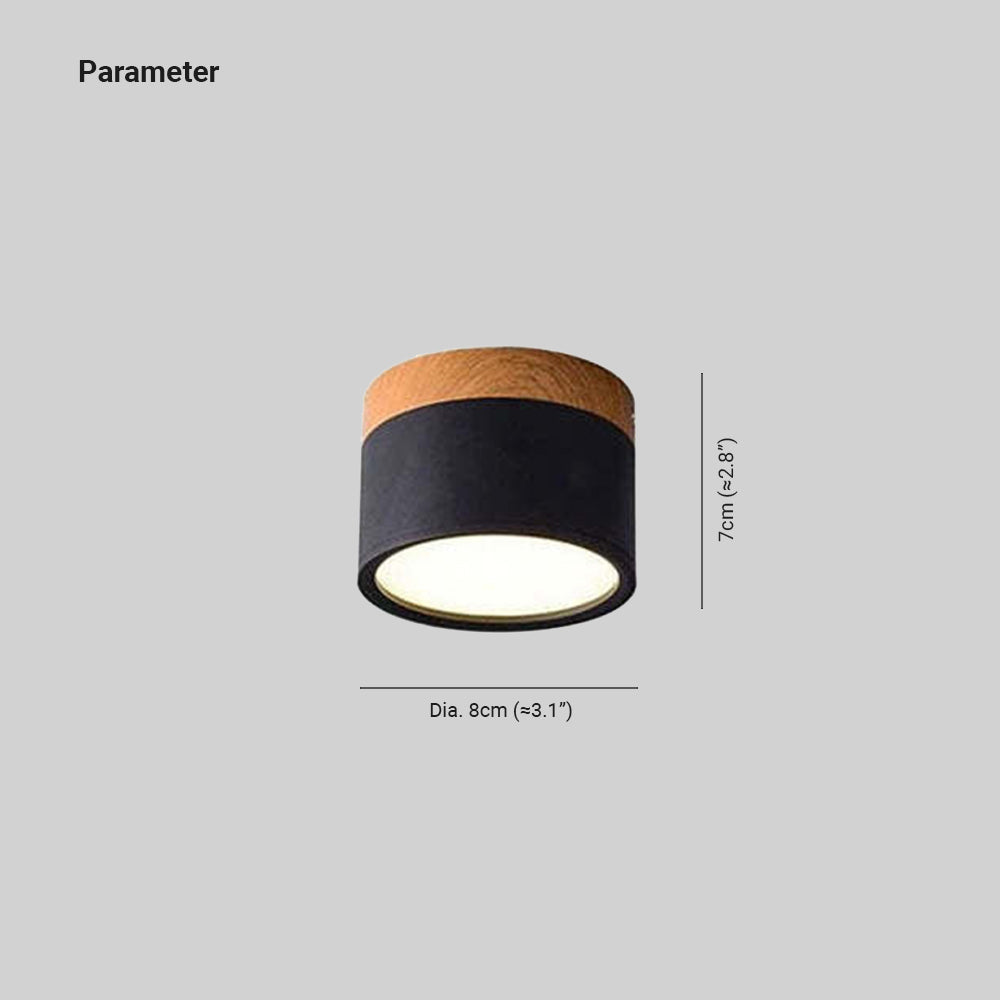 Morandi Style Modern LED Ceiling Lamp - LumiModo