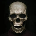 Skull Mask Movable Jaw Realistic Latex Full Head Costume