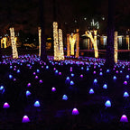 MUSHROOM GLOW – Solar LED Garden Lights for a Magical Outdoor Atmosphere