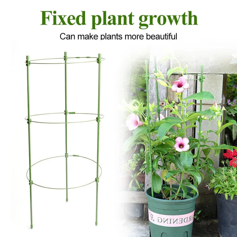 Climbing frame for plants – Sturdy support ring frame for climbing plants