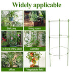 Climbing frame for plants – Sturdy support ring frame for climbing plants