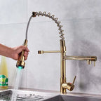 SpringTwin - Advanced Dual Outlet Tap