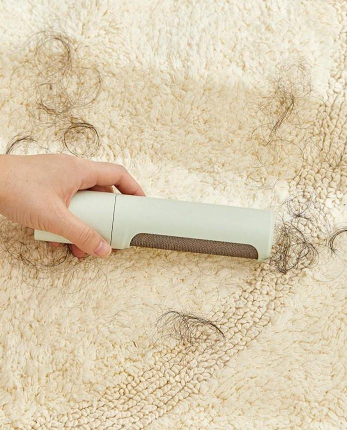 Portable Mini Pet Hair Remover