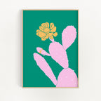 Cactus Flower
