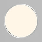 Energy-saving Ceiling Lamp for Bathroom