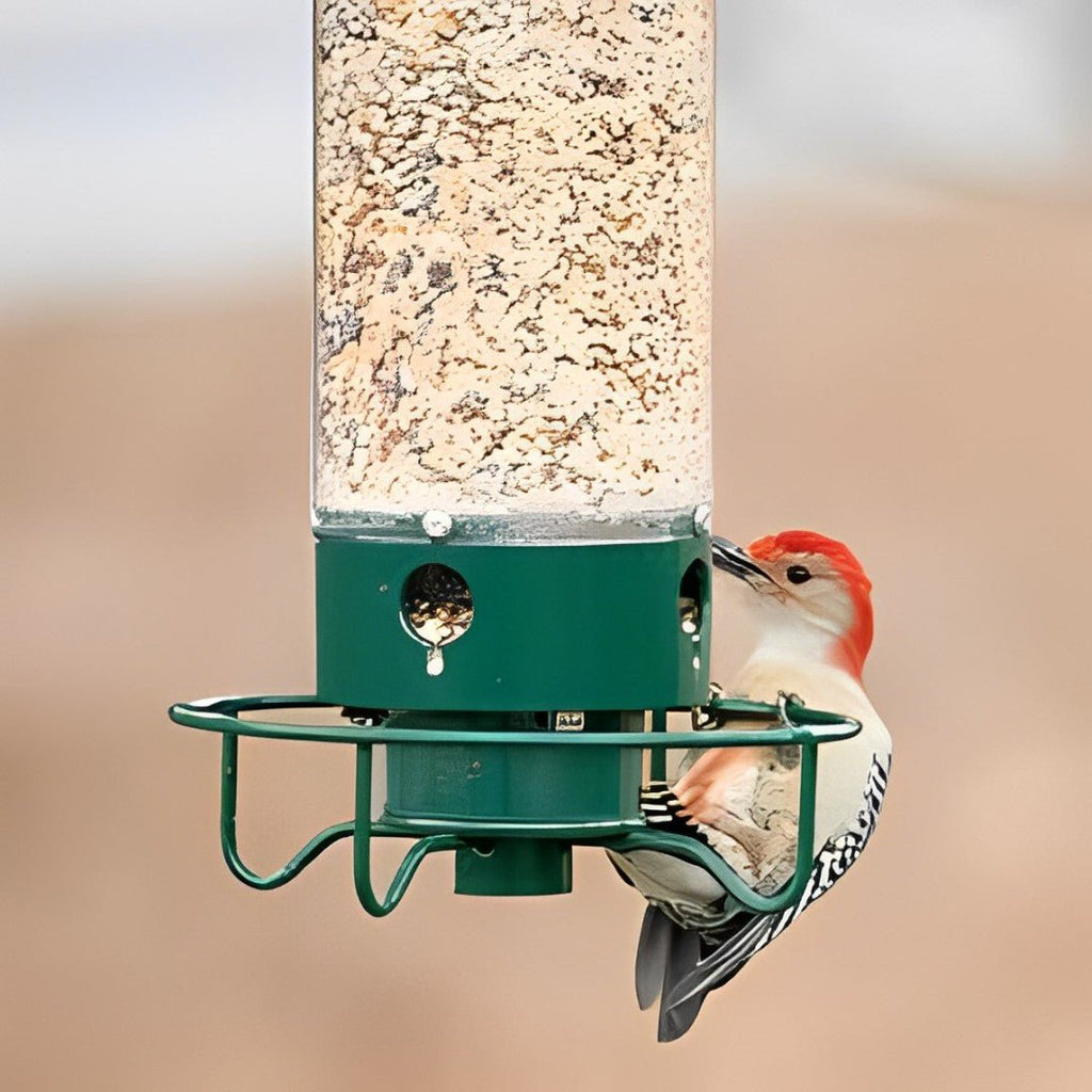 NUTRIGUARD – Squirrel-Proof Bird Feeder with Weight Control