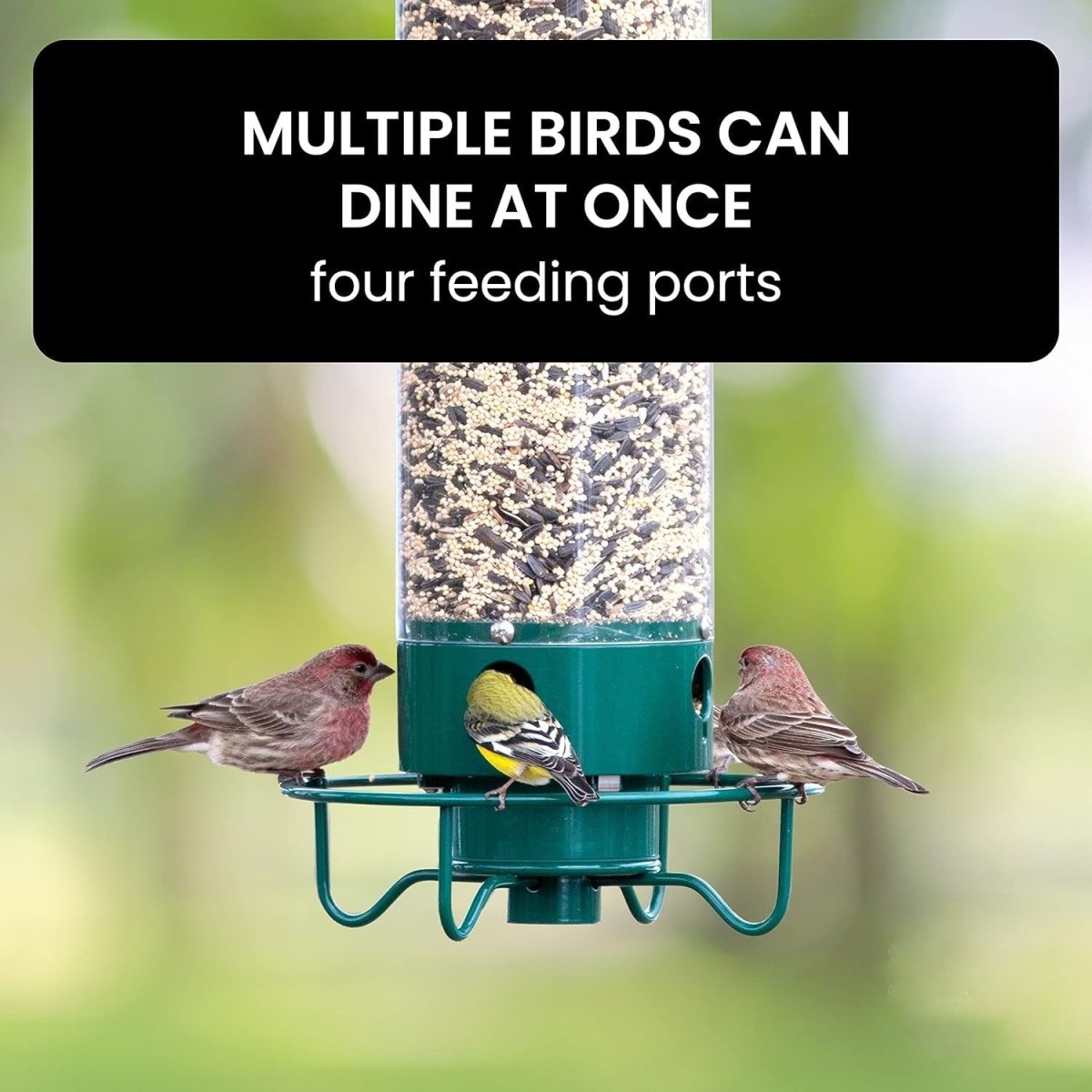 NUTRIGUARD – Squirrel-Proof Bird Feeder with Weight Control