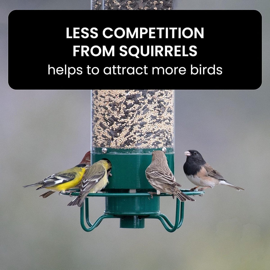 NUTRIGUARD – Squirrel-Proof Bird Feeder with Weight Control