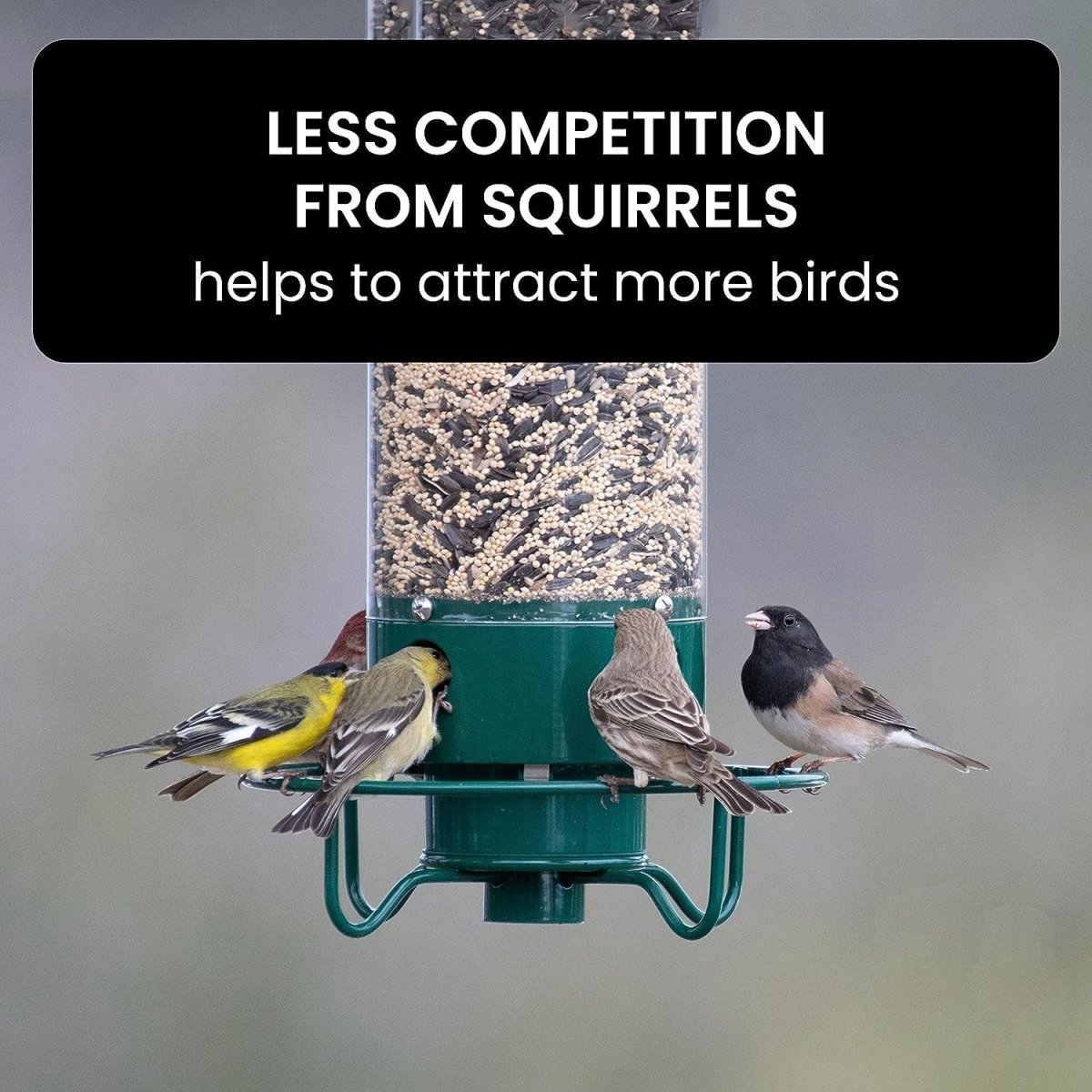 NUTRIGUARD – Squirrel-Proof Bird Feeder with Weight Control