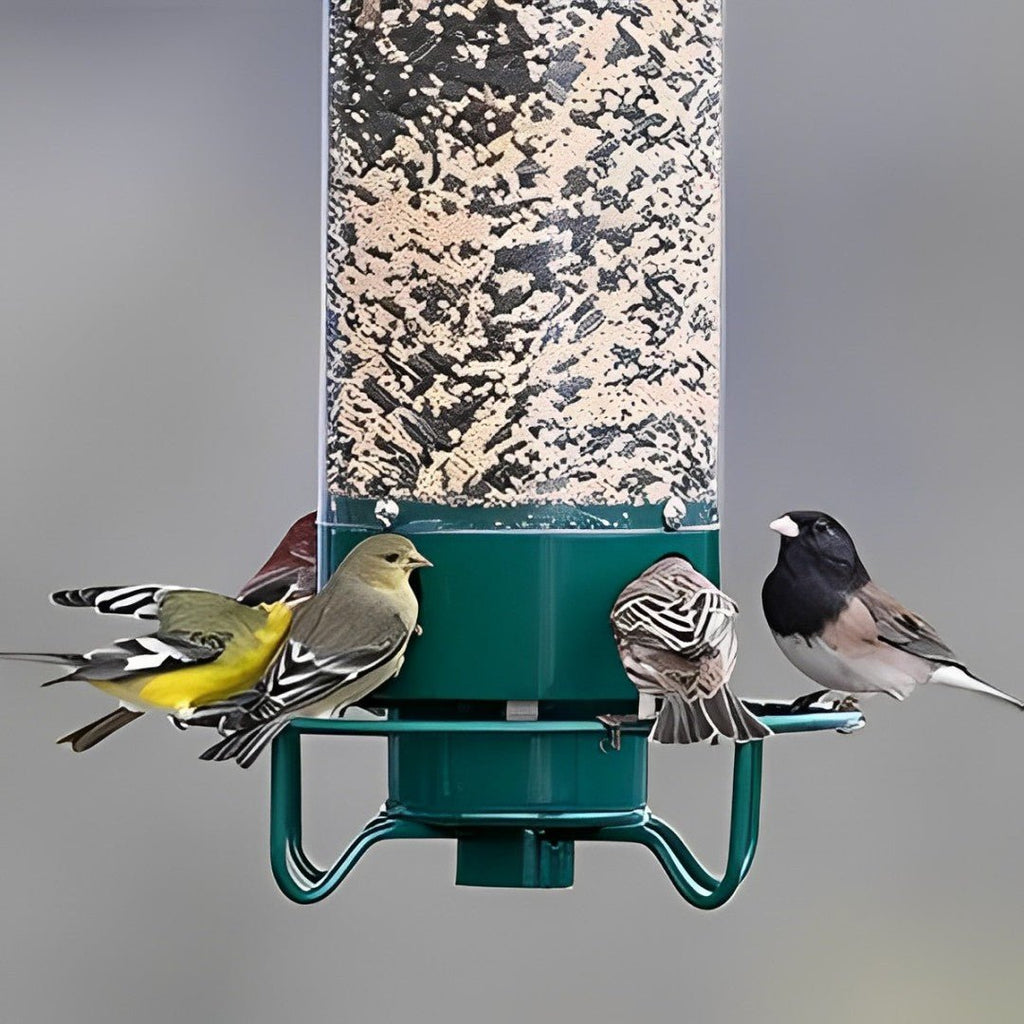 NUTRIGUARD – Squirrel-Proof Bird Feeder with Weight Control
