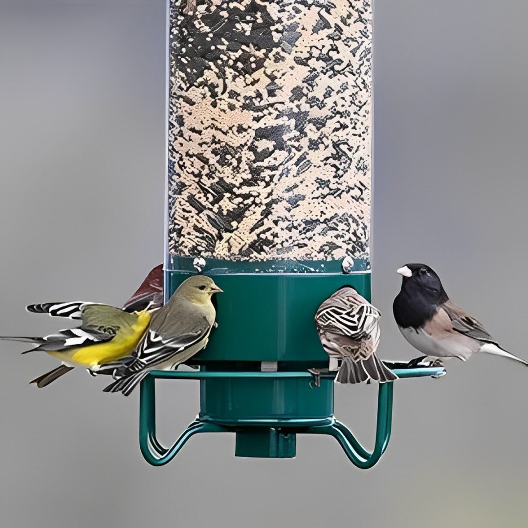 NUTRIGUARD – Squirrel-Proof Bird Feeder with Weight Control