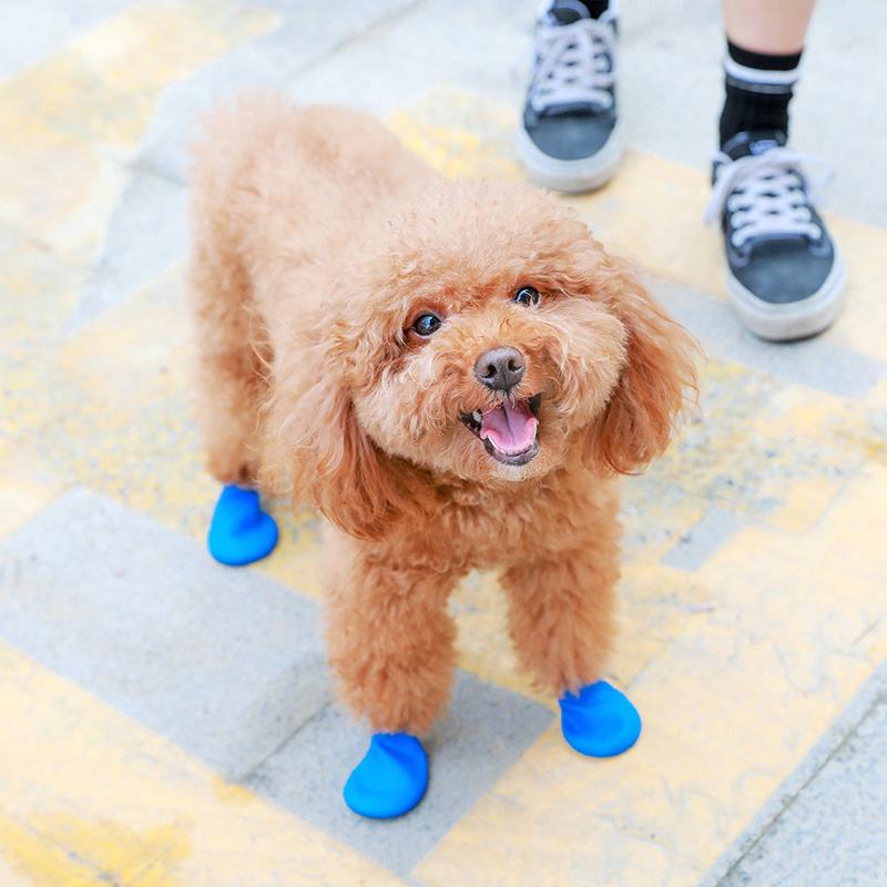 PootShield Waterproof Dog Shoes with Grip and Protective Comfort