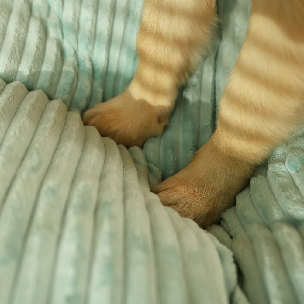 Orthopaedic Dog Bed with Removable Cover - SnuggleRest