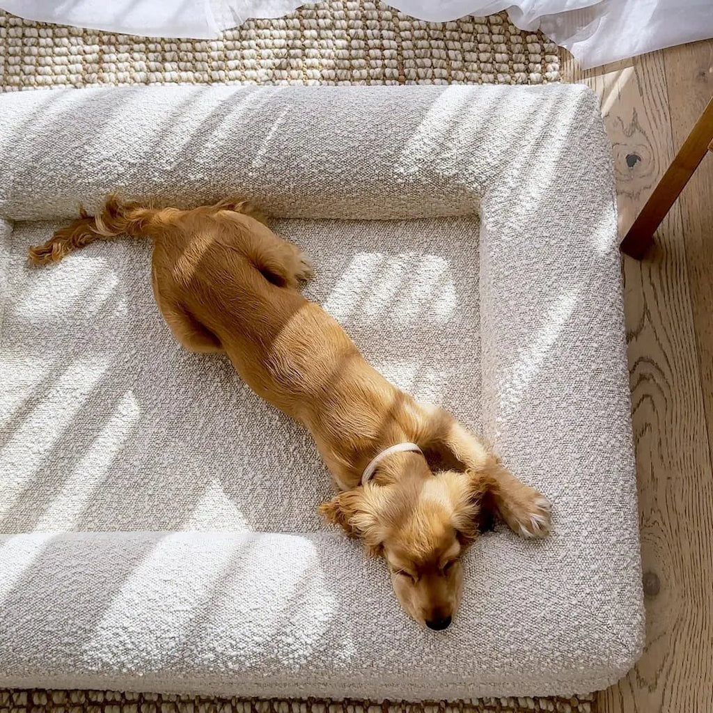 Orthopedic Dog Cushion with Bouclé Cover – Memory Foam and Washable