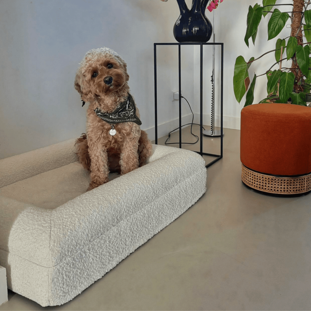 Orthopedic Dog Cushion with Bouclé Cover – Memory Foam and Washable