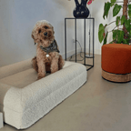 Orthopedic Dog Cushion with Bouclé Cover – Memory Foam and Washable