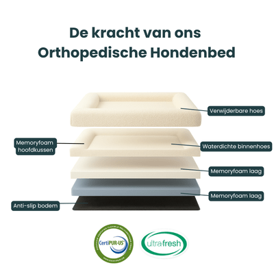 Orthopedic Dog Cushion with Bouclé Cover – Memory Foam and Washable