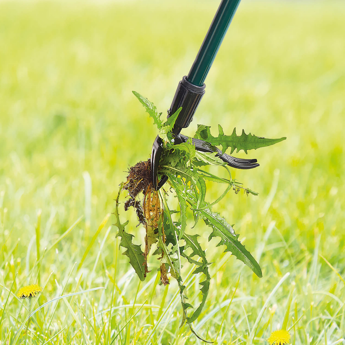 Long Handled Weed Puller Remover Weeding Tools