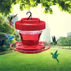 Red Nectar House for Hummingbirds with Insect Stop
