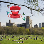Red Nectar House for Hummingbirds with Insect Stop