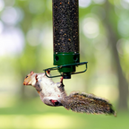 Squirrel Proof Bird Feeder | Heavy-Duty Metal, Multi-Feeding Ports & Ideal for Backyard Birdwatching