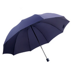Large Umbrella