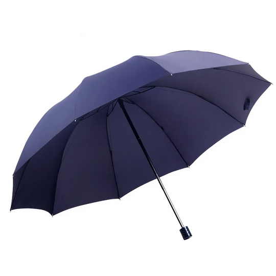 Large Umbrella