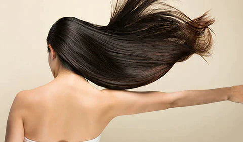 BlitzAir Ultralight Blowdryer – Professional High-Speed Motor for Quick Drying