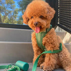 PaddedControl - No Pull Dog Harness