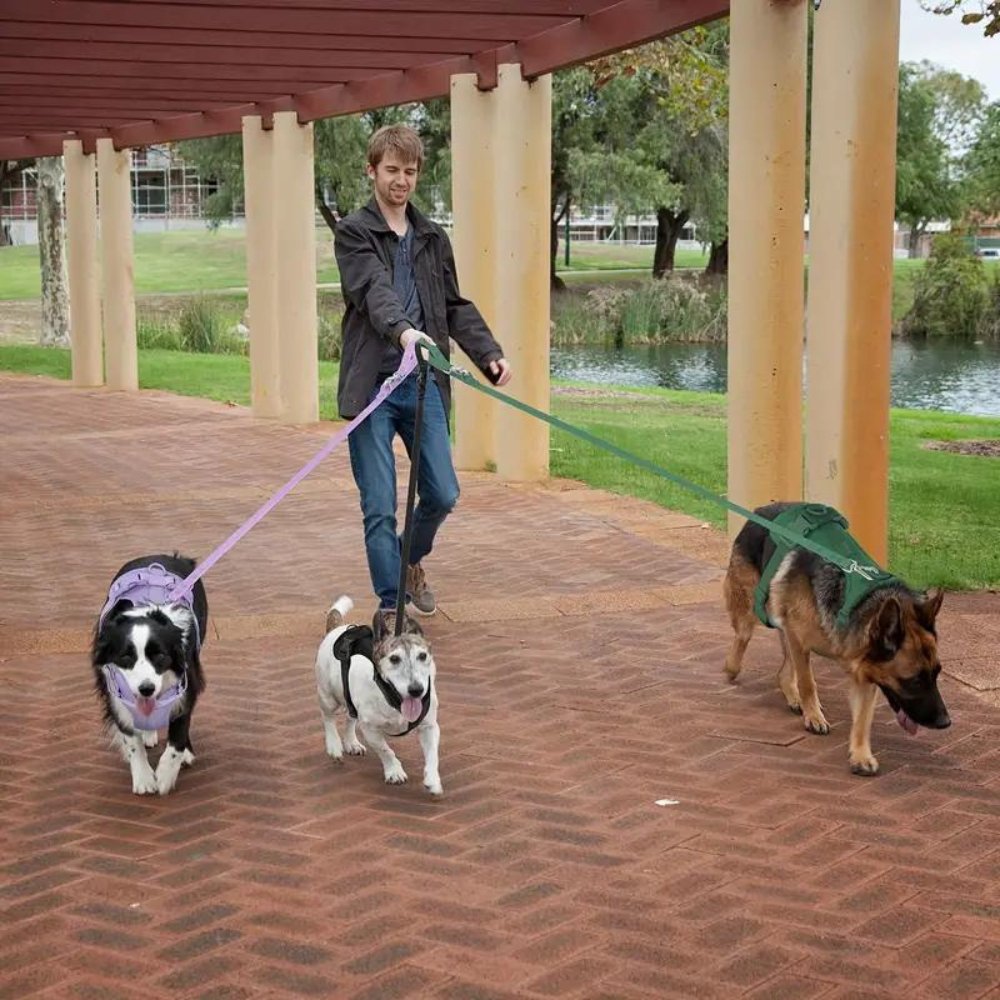 PaddedControl - No Pull Dog Harness
