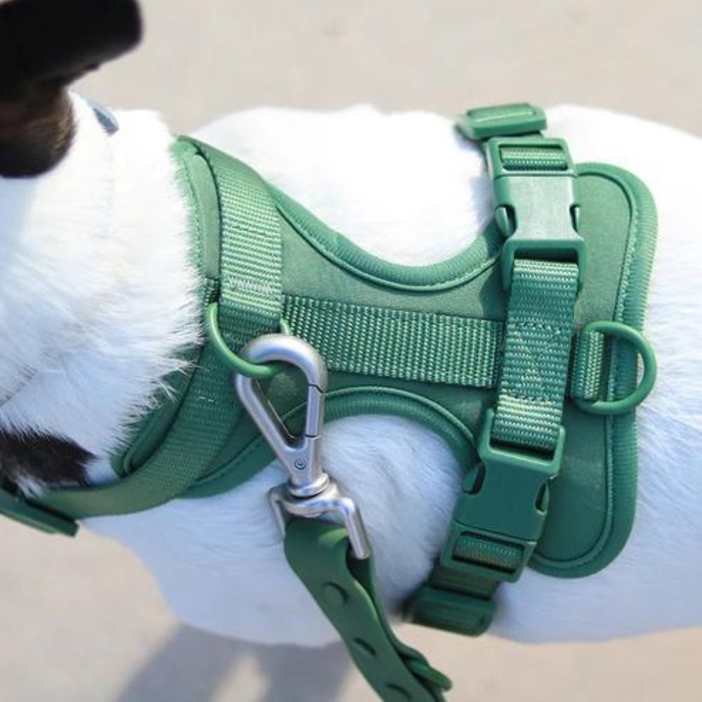 PaddedControl - No Pull Dog Harness