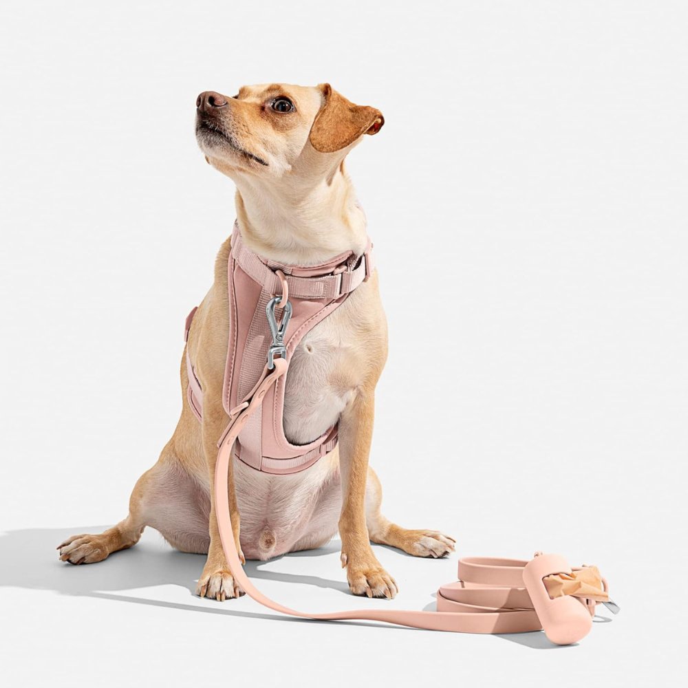 PaddedControl - No Pull Dog Harness
