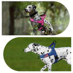 PatriotGuard - No Pull Dog Harness