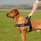 PatriotGuard - No Pull Dog Harness