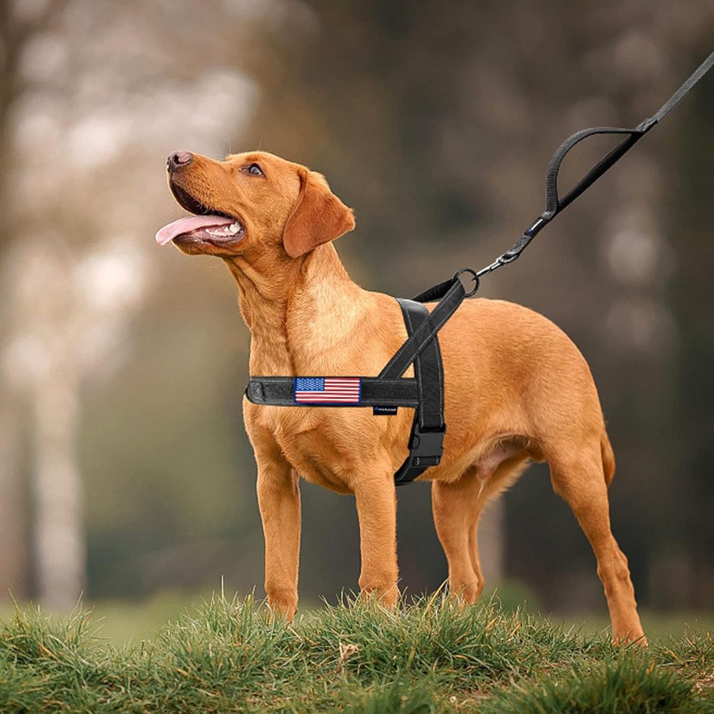 PatriotGuard - No Pull Dog Harness