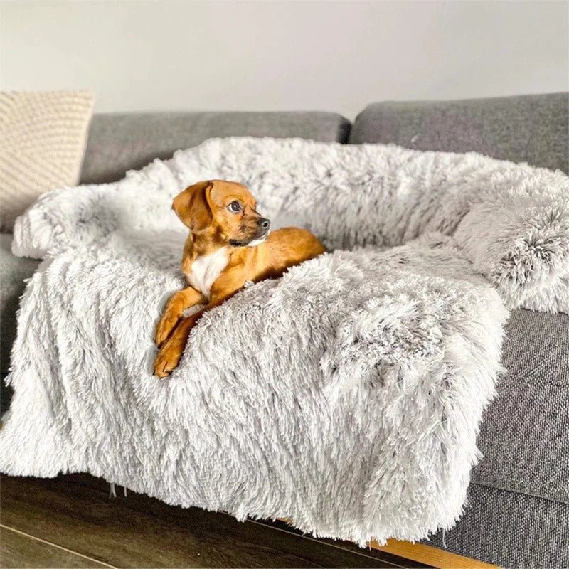 PAWCLOUD SOFA – Cozy Pet Bed with Raised Border and Furniture Guard