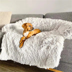 PAWCLOUD SOFA – Cozy Pet Bed with Raised Border and Furniture Guard