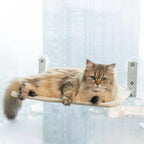 PAWPERCH – Foldable Cat Hammock with Wall-Friendly Mount | No-Drill Window Seat