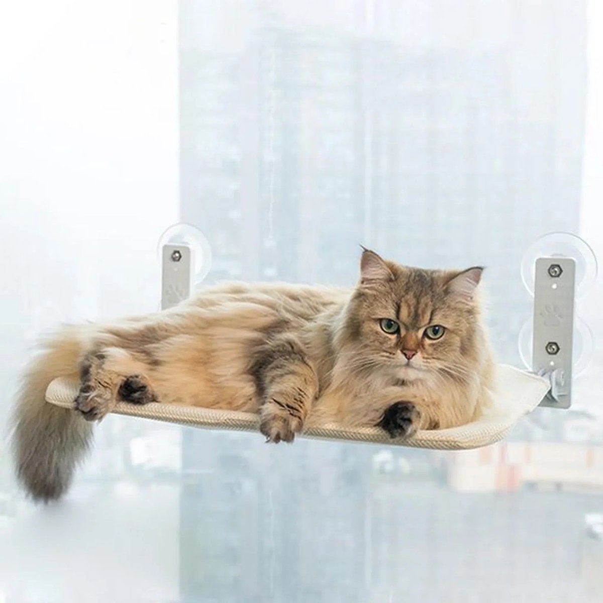 PAWPERCH – Foldable Cat Hammock with Wall-Friendly Mount | No-Drill Window Seat