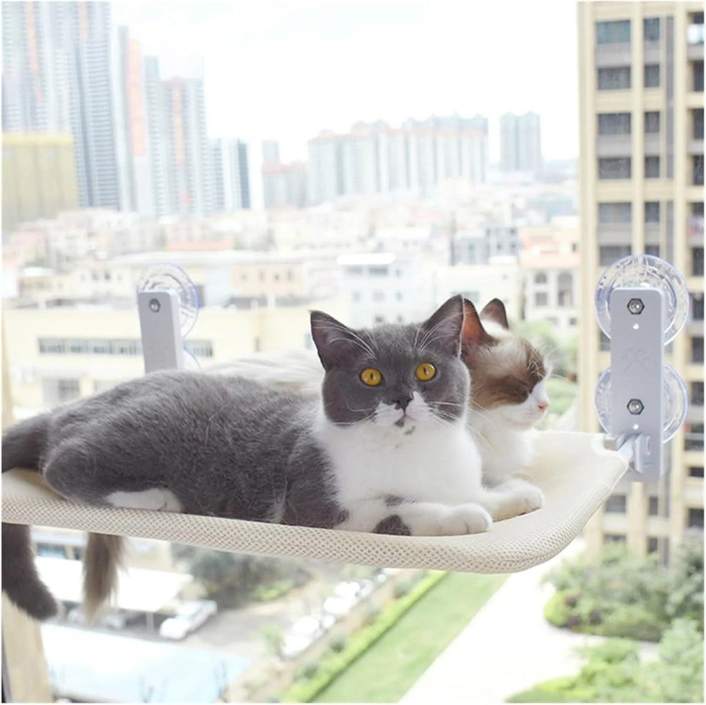 PAWPERCH – Foldable Cat Hammock with Wall-Friendly Mount | No-Drill Window Seat