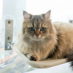 PAWPERCH – Foldable Cat Hammock with Wall-Friendly Mount | No-Drill Window Seat
