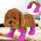 Pawsafe - Waterproof Dog Boots